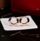 TOP Copy Cartier Love S925 Ear Clips MINI Earrings Women (3)_th.jpg